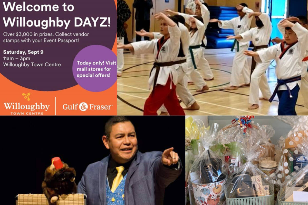 From martial arts demonstrations to magic shows and prizes, there is plenty to see and do at the 7th annual Willoughby DAYZ.